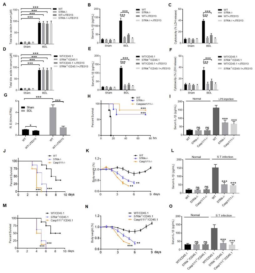 Int J Biol Sci Image