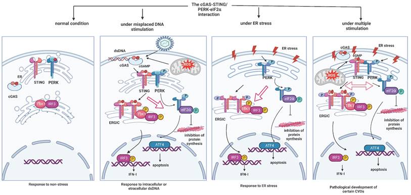 Int J Biol Sci Image