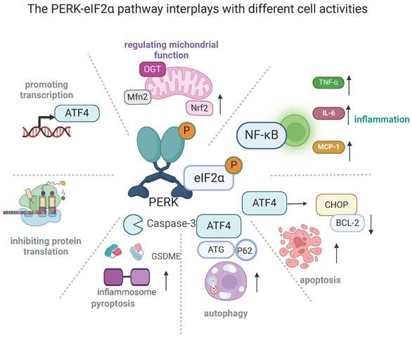 Int J Biol Sci Image