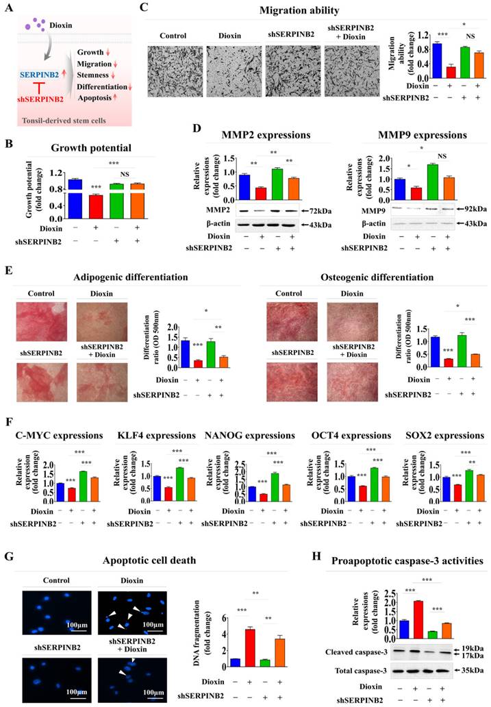 Int J Biol Sci Image