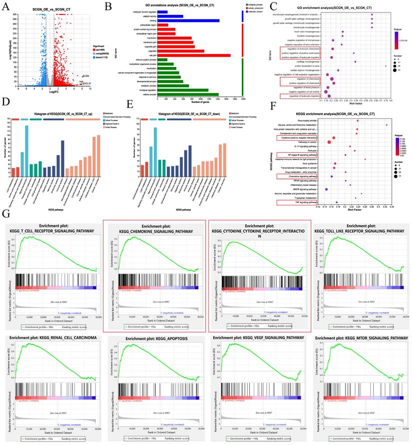 Int J Biol Sci Image