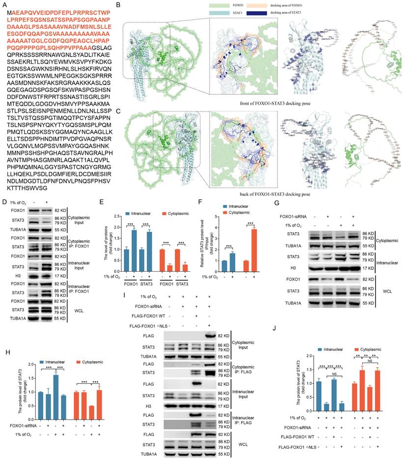 Int J Biol Sci Image