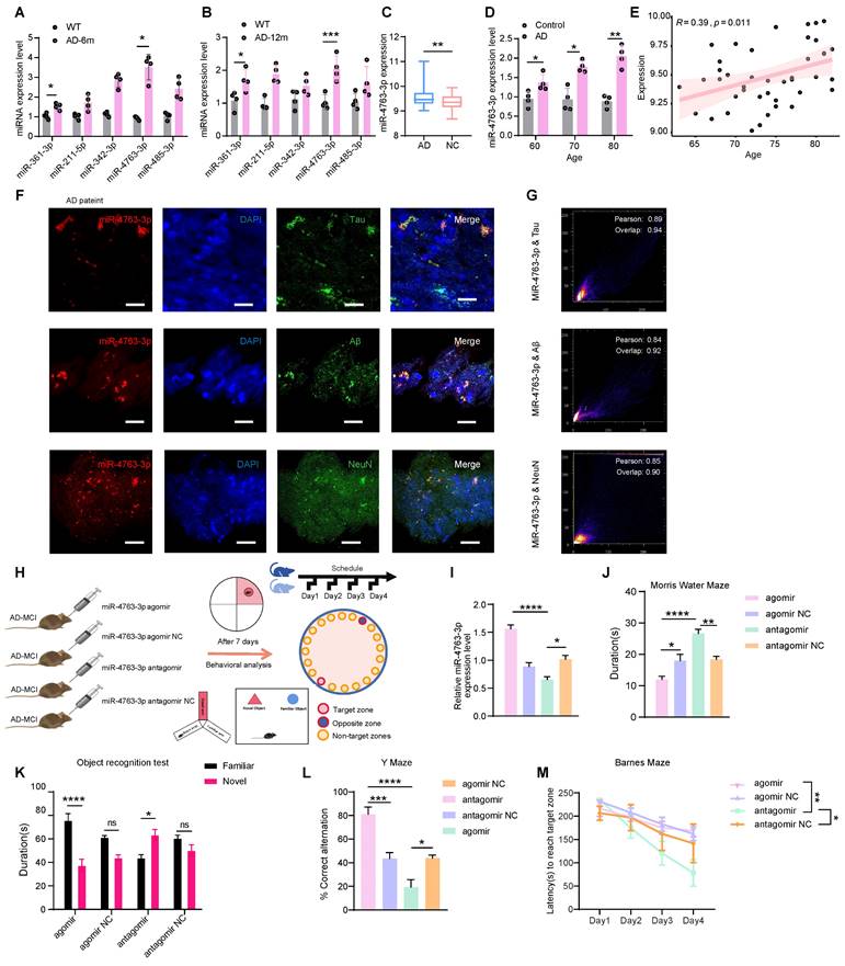 Int J Biol Sci Image