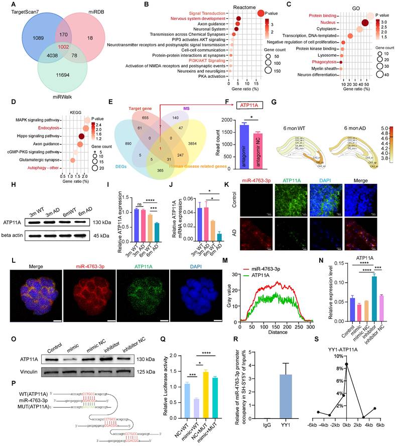 Int J Biol Sci Image