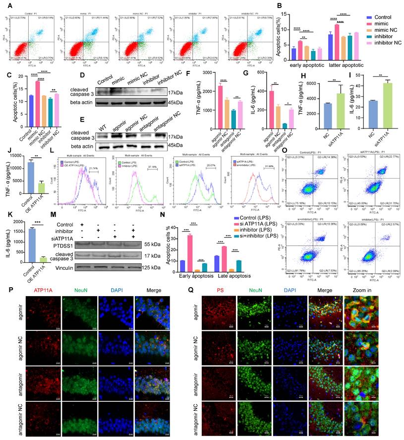 Int J Biol Sci Image