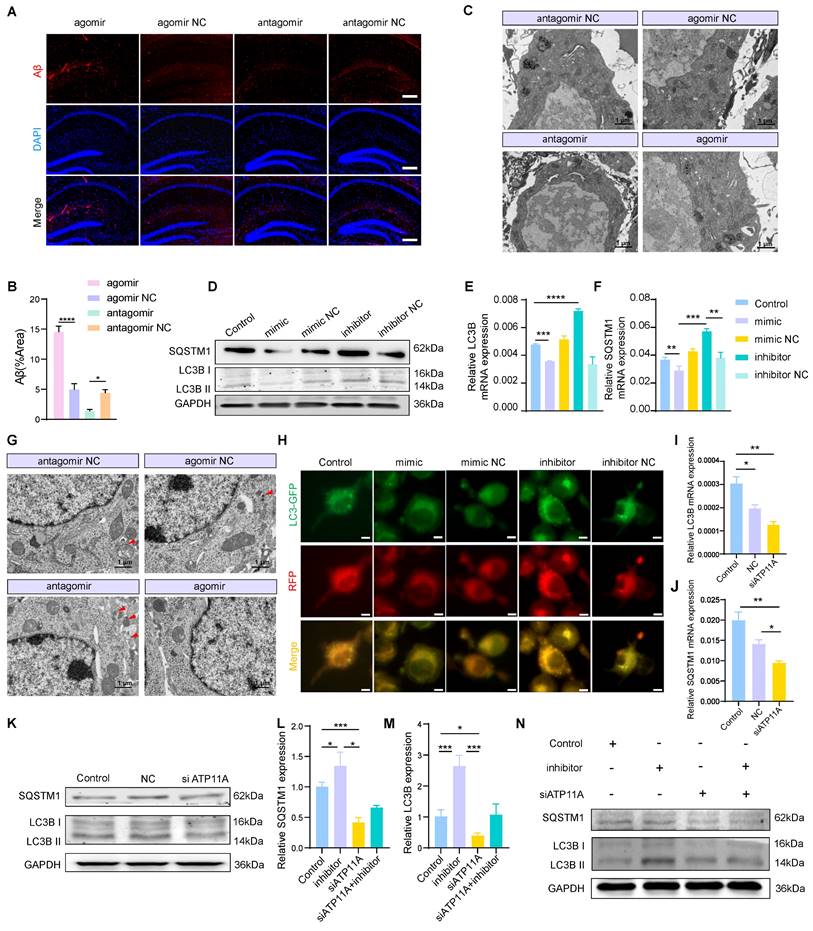 Int J Biol Sci Image