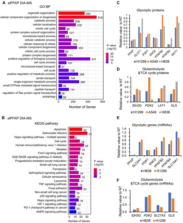 Int J Biol Sci Image