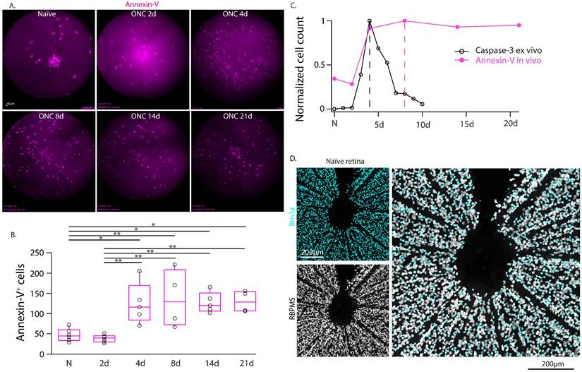 Int J Biol Sci Image