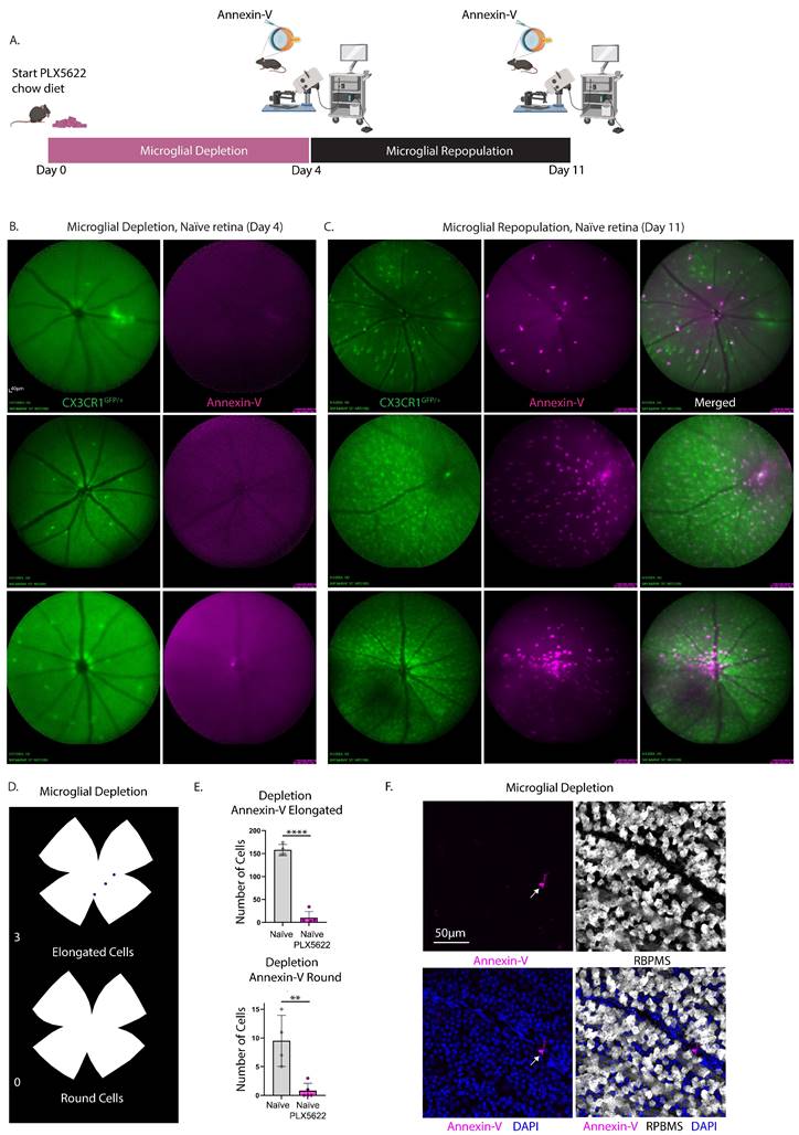 Int J Biol Sci Image