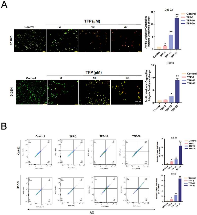 Int J Biol Sci Image