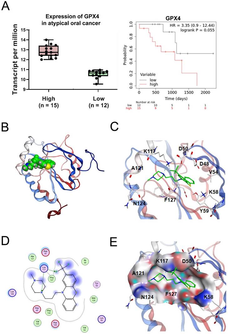 Int J Biol Sci Image