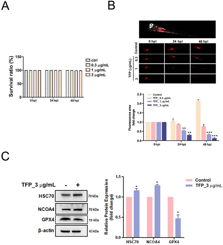 Int J Biol Sci Image