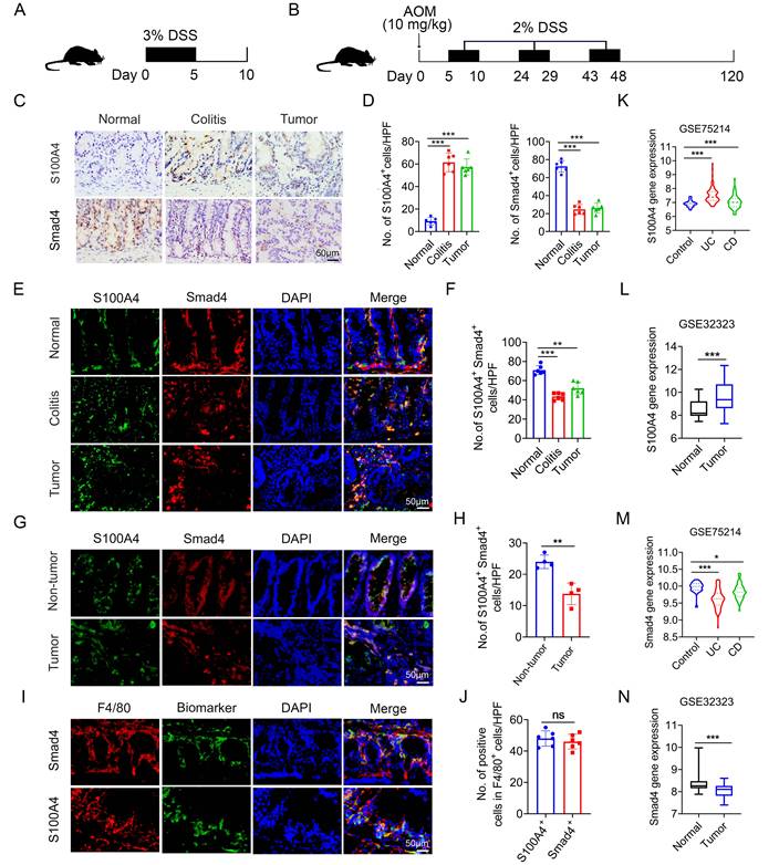 Int J Biol Sci Image