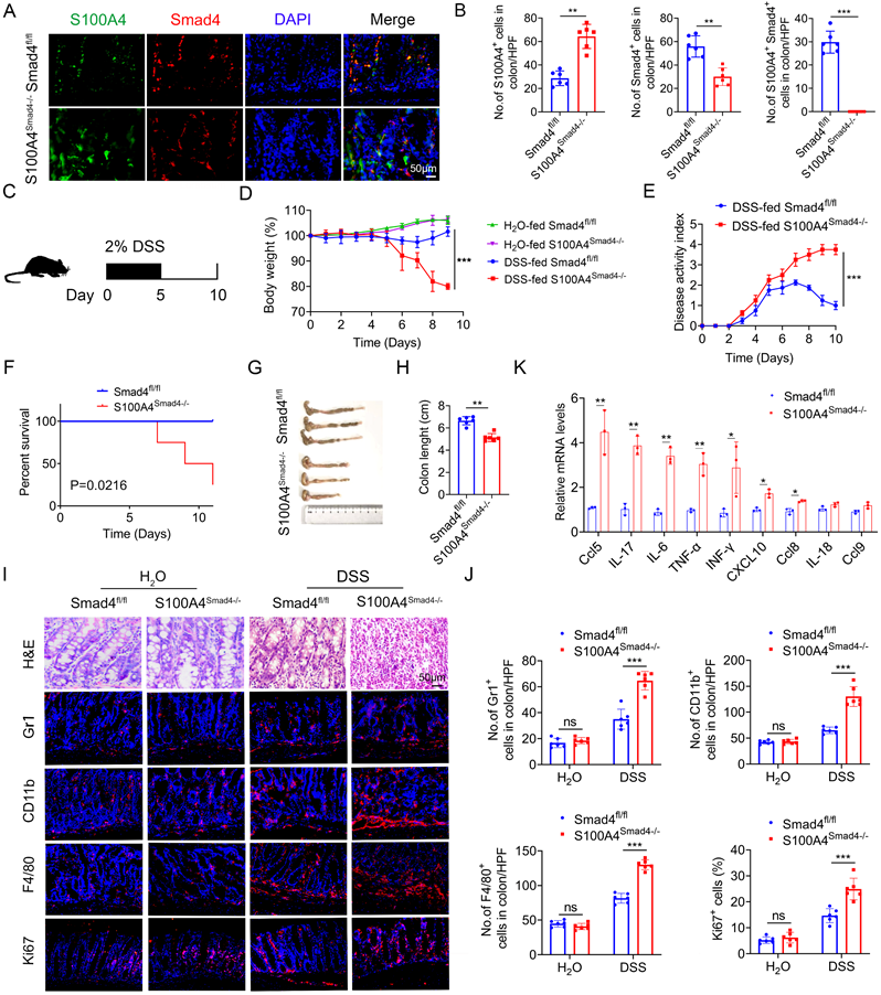 Int J Biol Sci Image