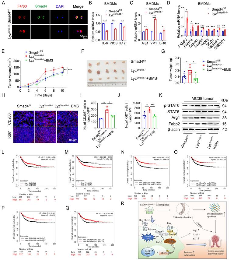 Int J Biol Sci Image