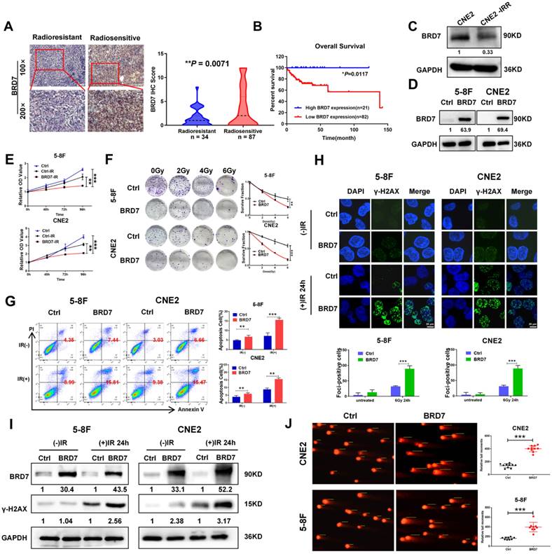 Int J Biol Sci Image