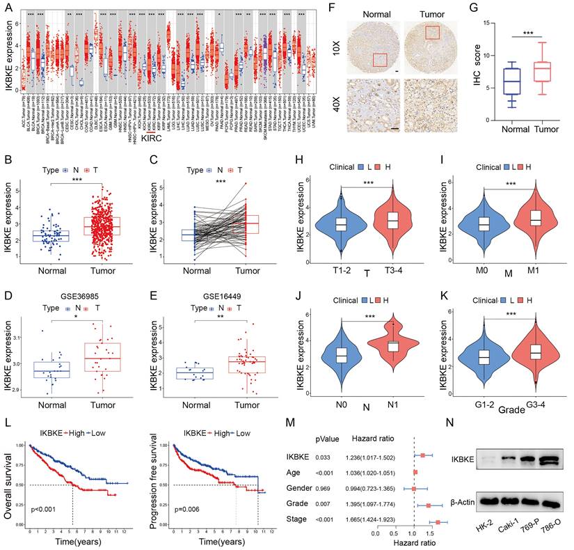 Int J Biol Sci Image