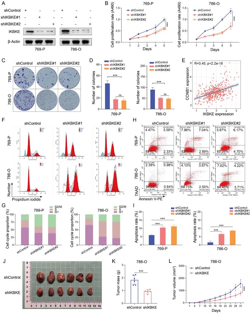 Int J Biol Sci Image