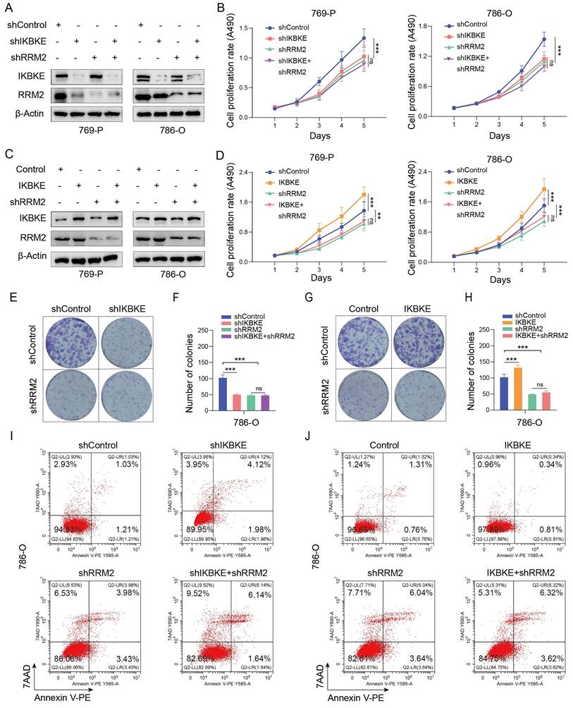 Int J Biol Sci Image