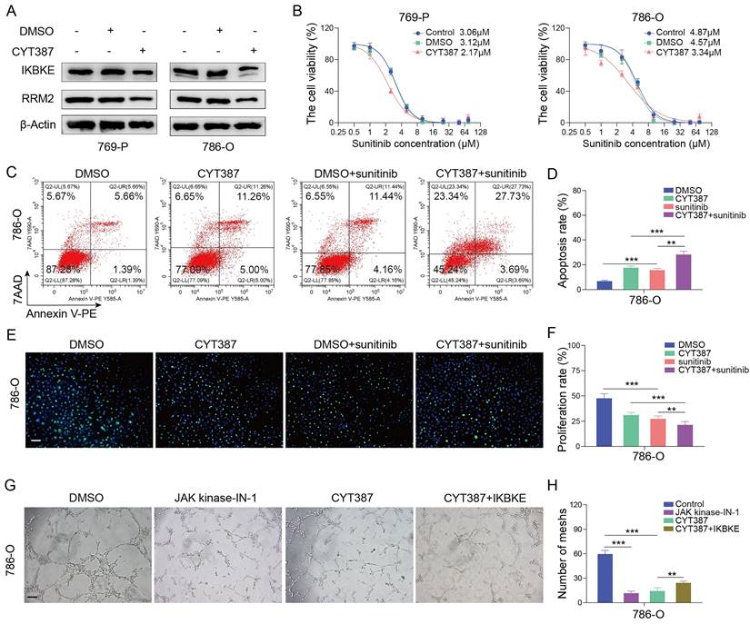 Int J Biol Sci Image