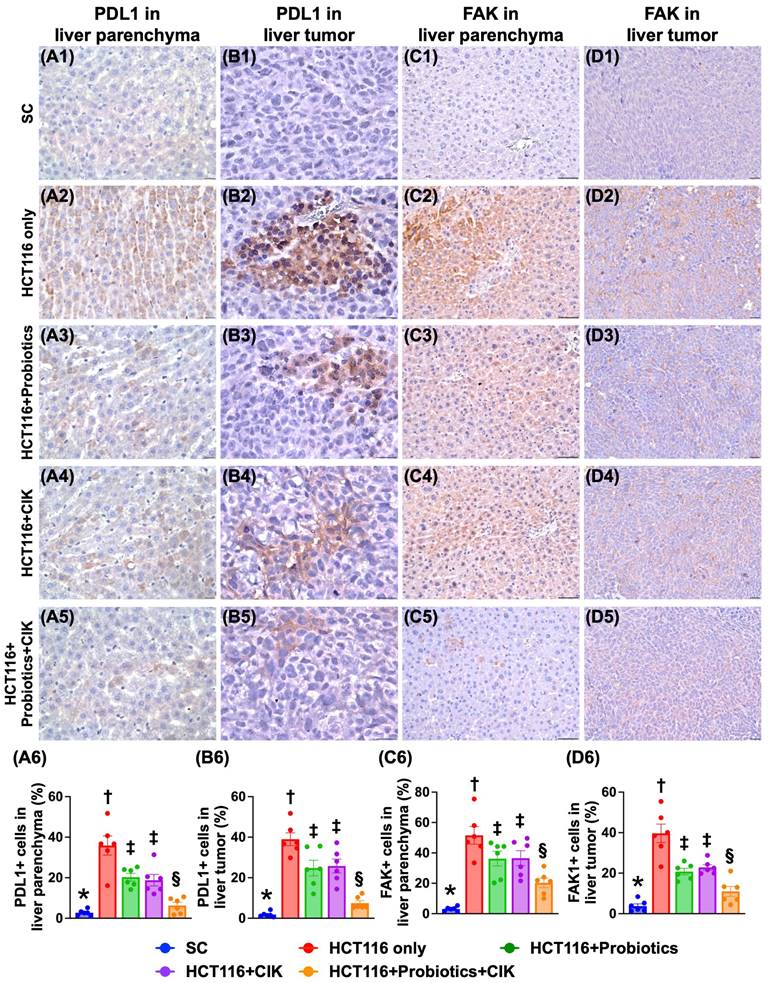 Int J Biol Sci Image