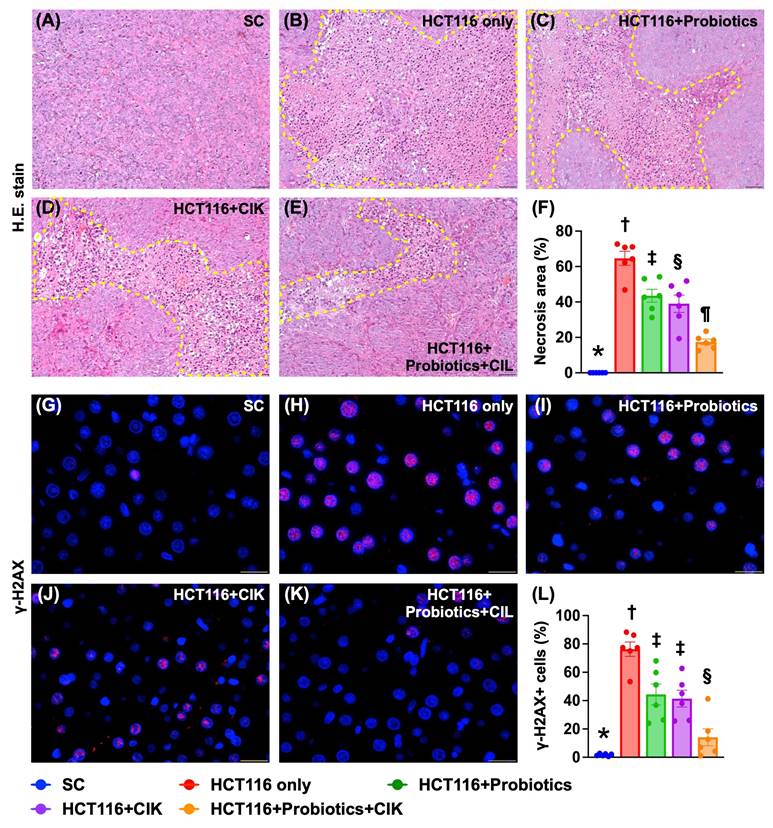 Int J Biol Sci Image