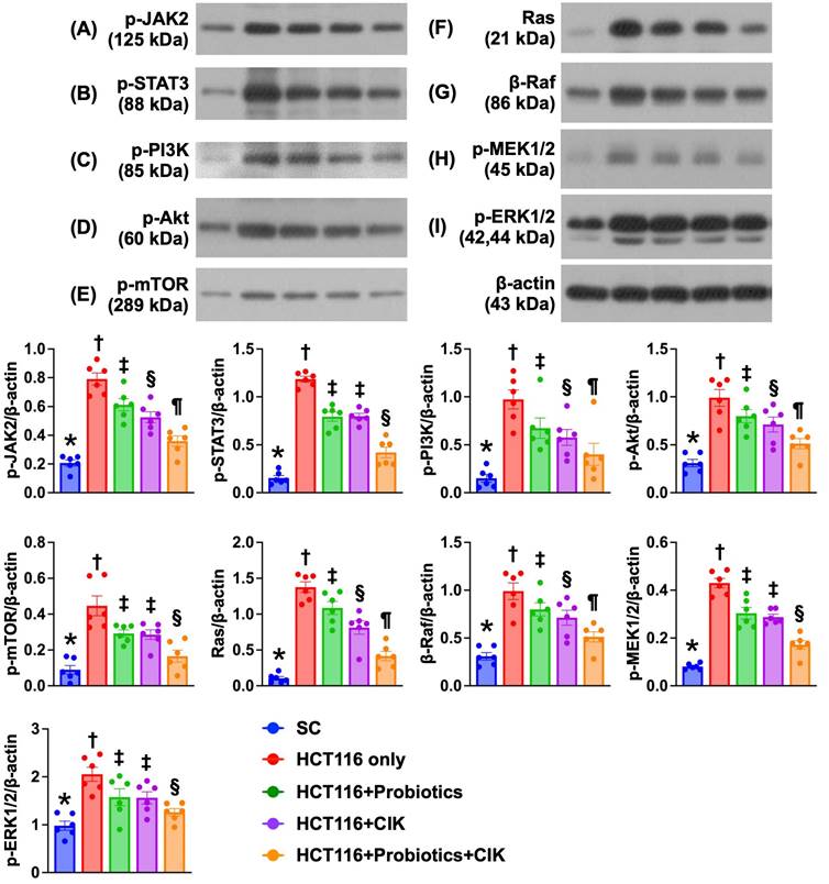 Int J Biol Sci Image