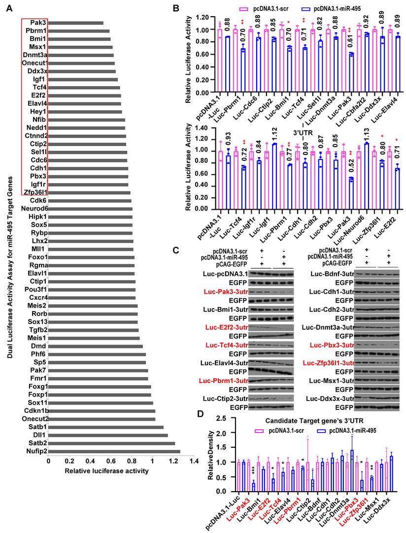 Int J Biol Sci Image