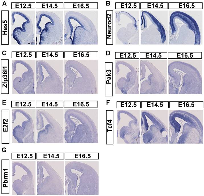 Int J Biol Sci Image