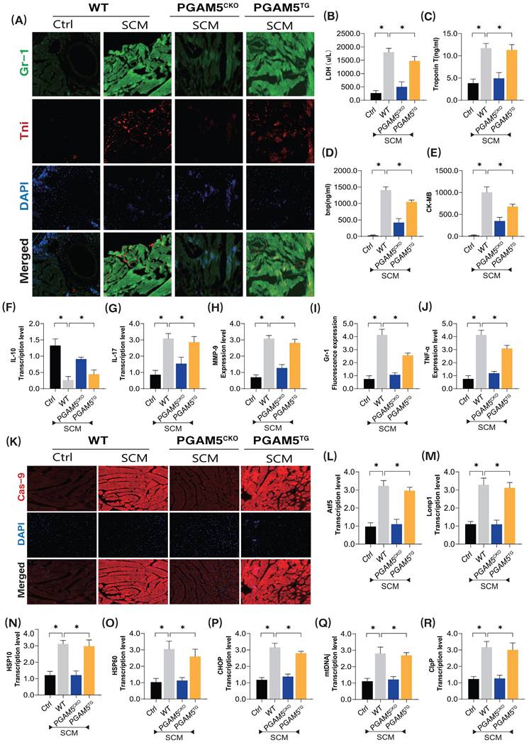 Int J Biol Sci Image