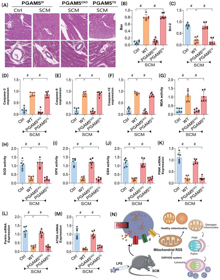 Int J Biol Sci Image