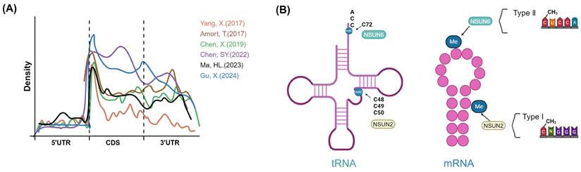 Int J Biol Sci Image