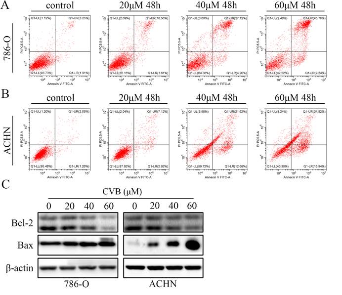 Int J Biol Sci Image