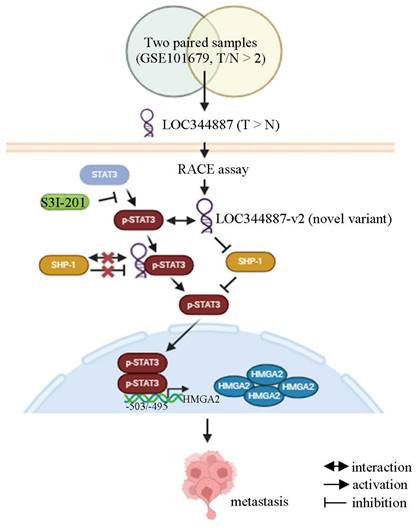 Int J Biol Sci Image