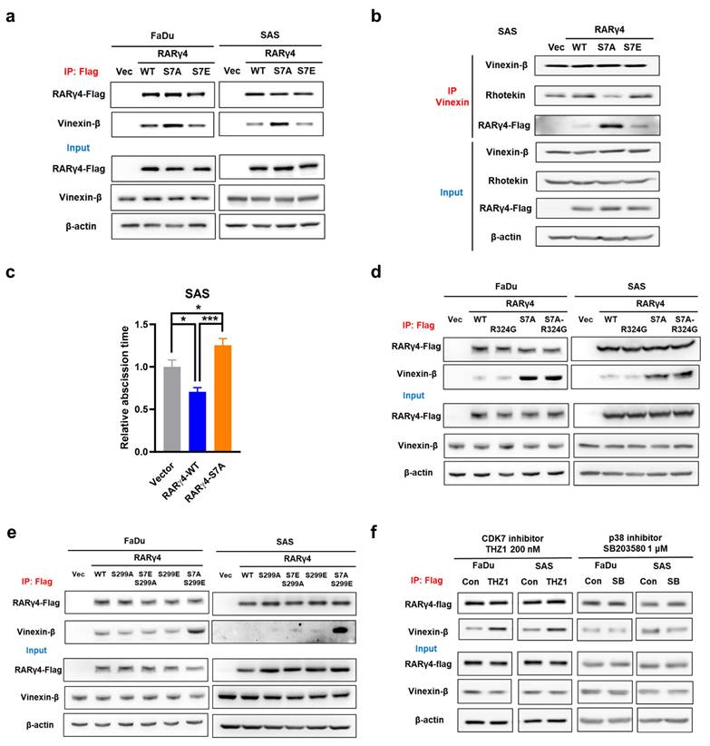 Int J Biol Sci Image