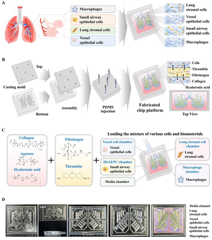 Int J Biol Sci Image