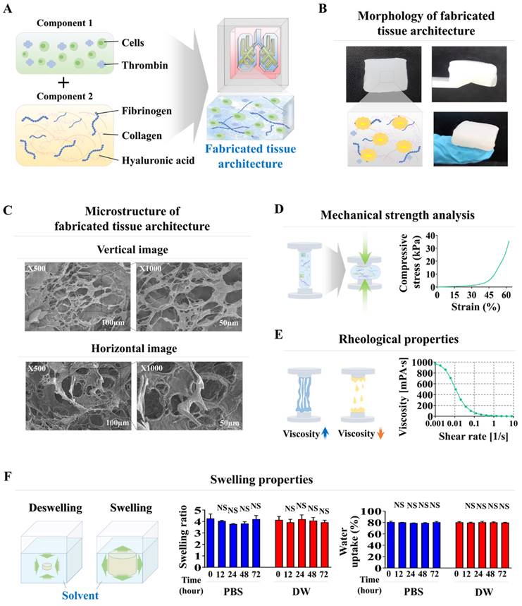 Int J Biol Sci Image