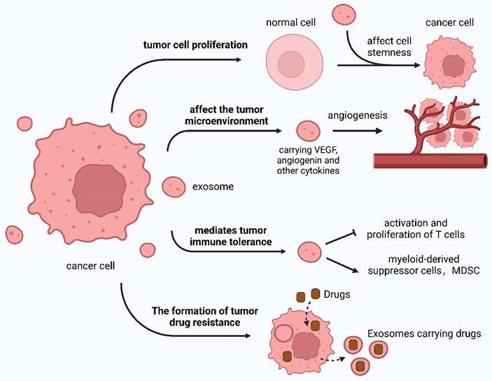 Int J Biol Sci Image