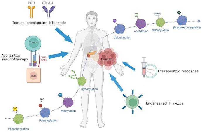 Int J Biol Sci Image