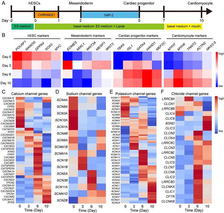 Int J Biol Sci Image