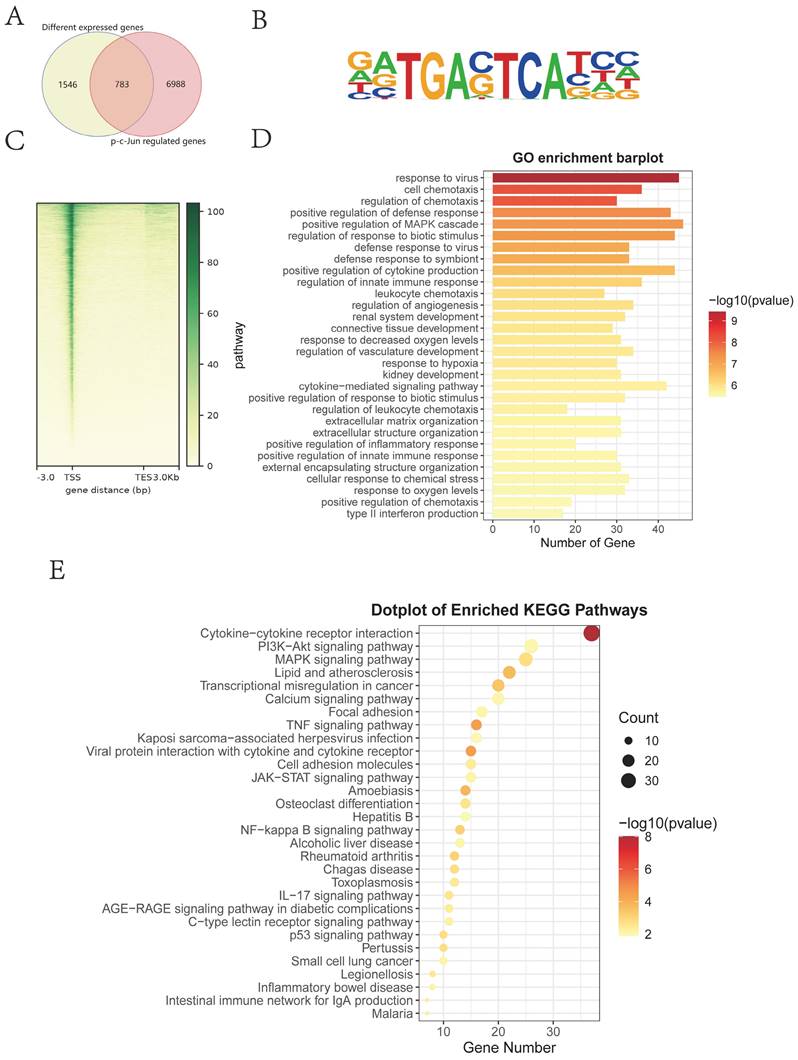 Int J Biol Sci Image