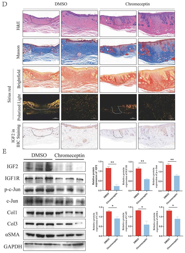 Int J Biol Sci Image