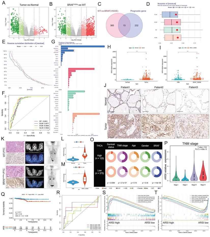 Int J Biol Sci Image