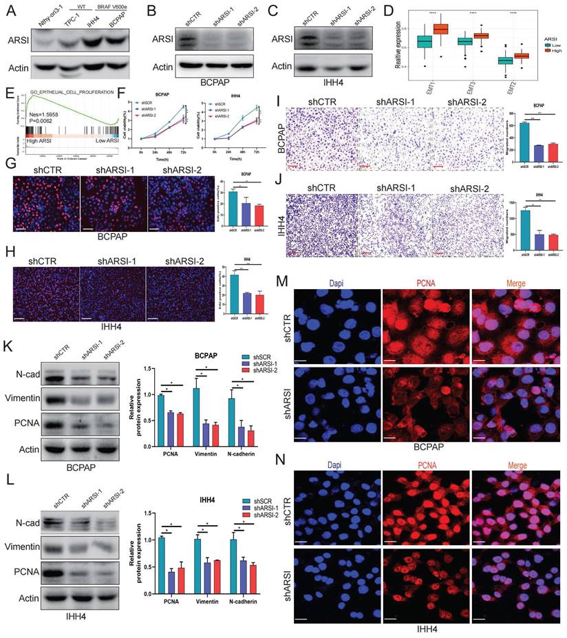 Int J Biol Sci Image