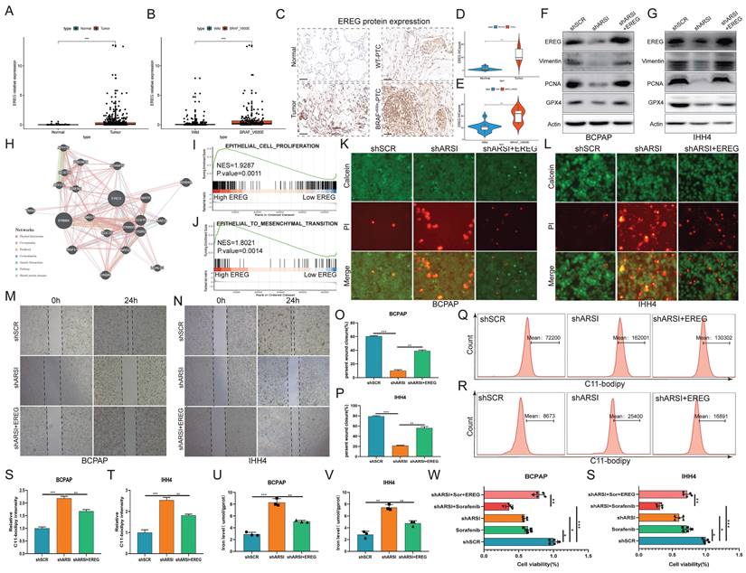 Int J Biol Sci Image