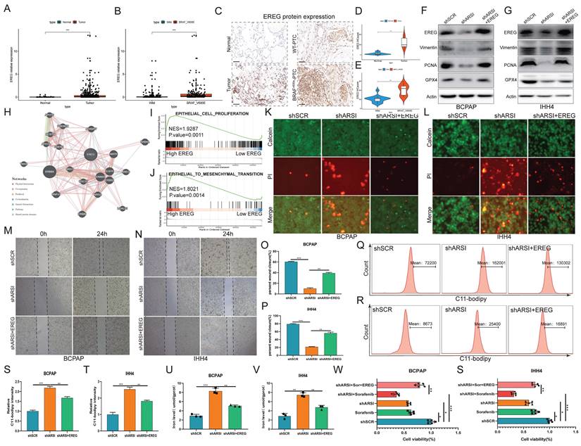Int J Biol Sci Image