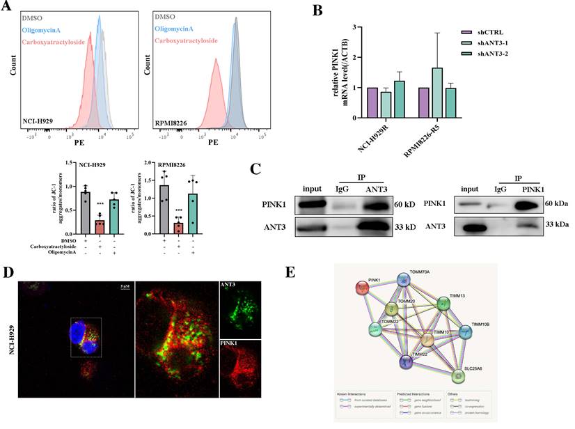 Int J Biol Sci Image