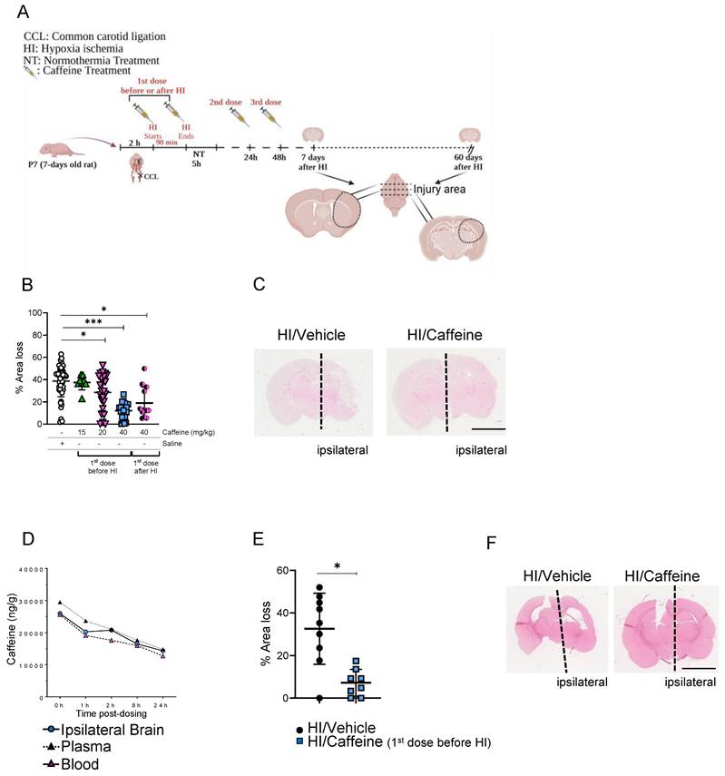 Int J Biol Sci Image