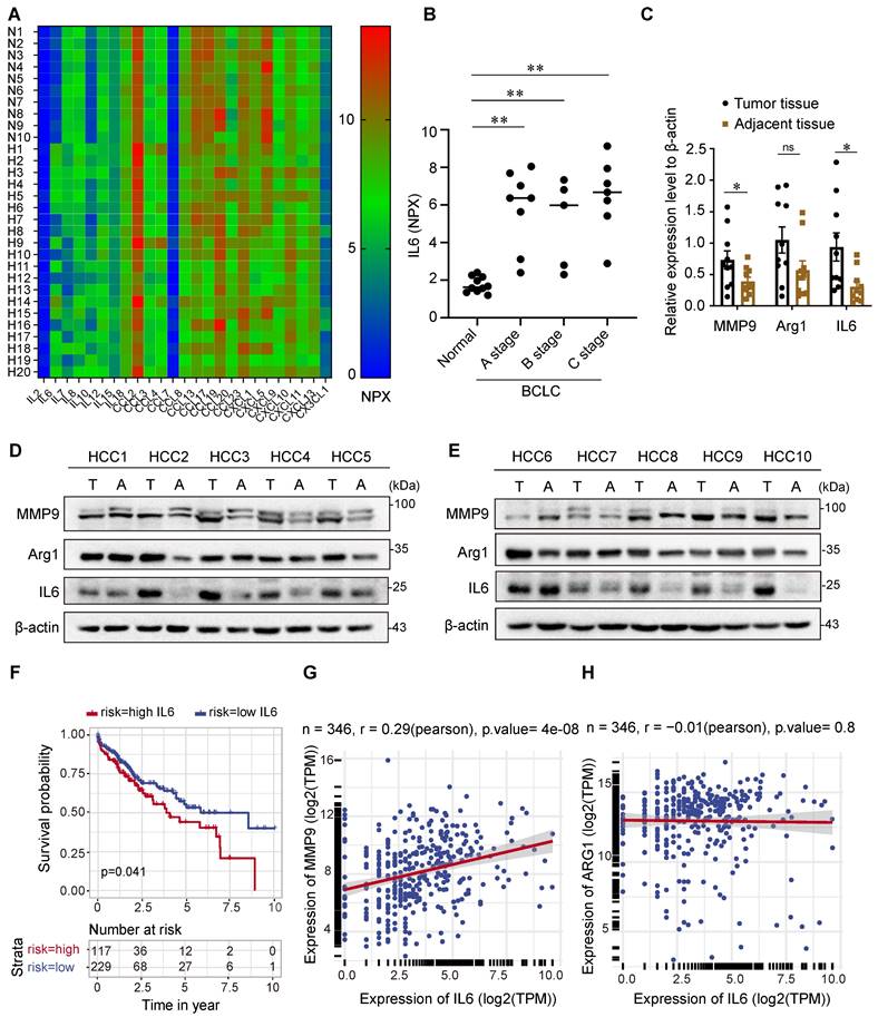 Int J Biol Sci Image