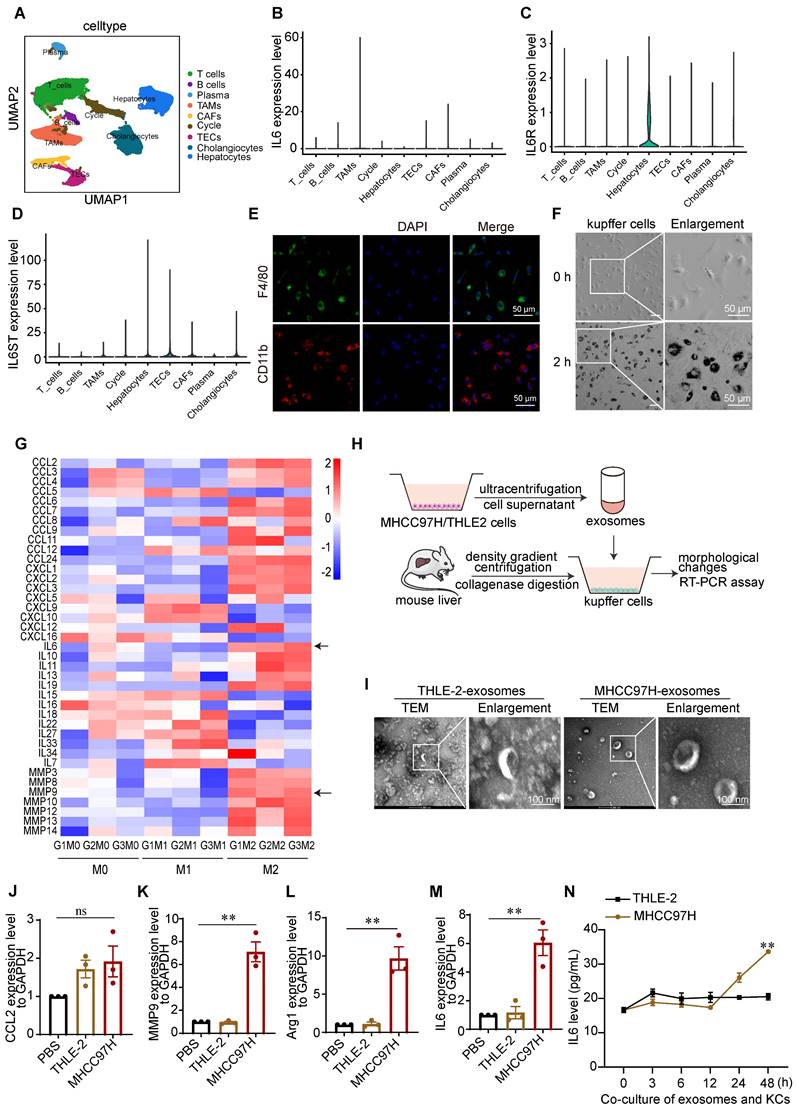 Int J Biol Sci Image